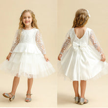 Load image into Gallery viewer, Girl Party Dress  Embroidery Floral