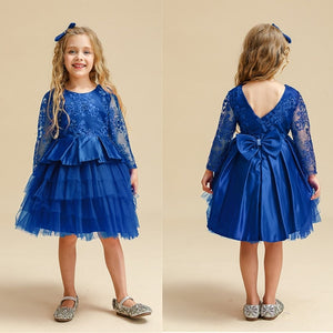 Girl Party Dress  Embroidery Floral