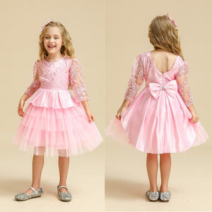 Girl Party Dress  Embroidery Floral